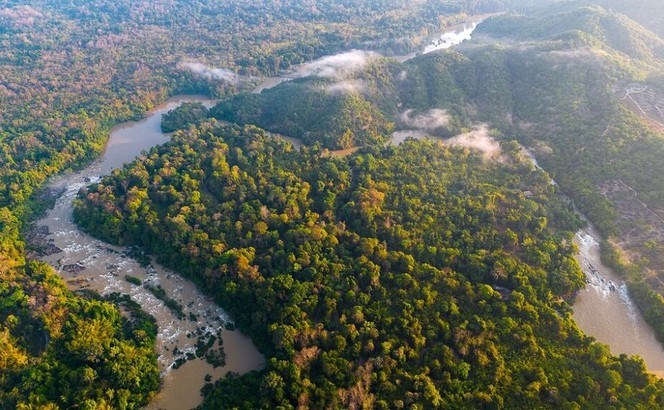 吉仙国家公园 - 越南保护自然和生物多样性的典范 (MISS BICH PHUONG)